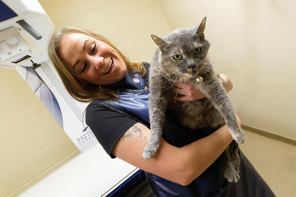 Veterinary diagnostic equipment used for pet health testing at Wales Animal Clinic in Wales, WI
