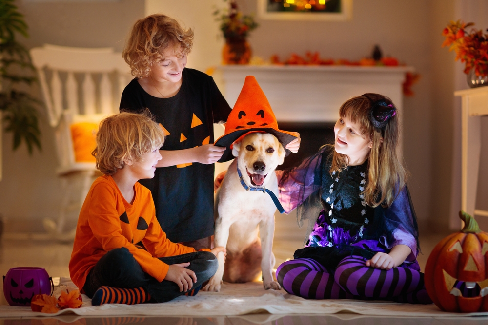 Two children dressed in Halloween witch costumes trick-or-treating, festive holiday pet safety tips