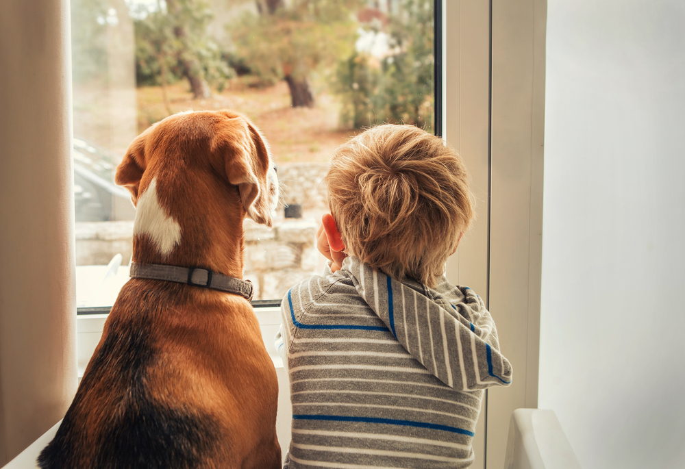 Little boy and his dog looking through a window together
