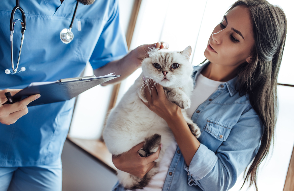 Veterinarian in white coat examining a patient at Wales Animal Clinic