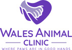 Wales Animal Clinic