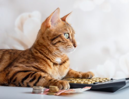 Furry Friends and Finances: Navigating the Cost of Pet Ownership